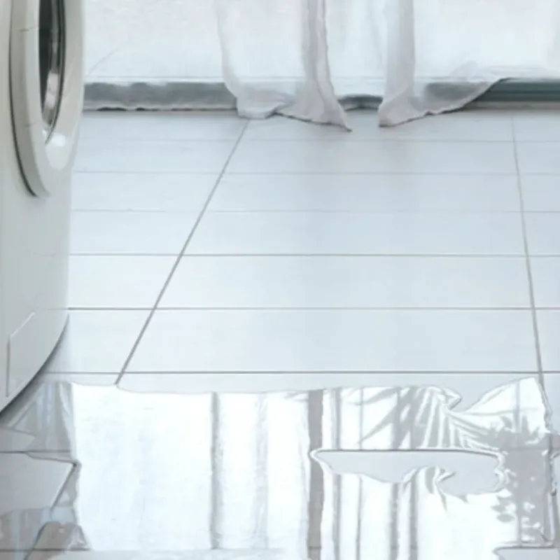 Appliance Leak Cleanup in Santa Rosa, CA